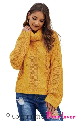 Autumn Cable Knit Turtleneck Pullover